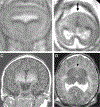 FIGURE 4–1