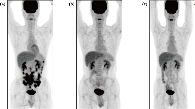 Fig 1