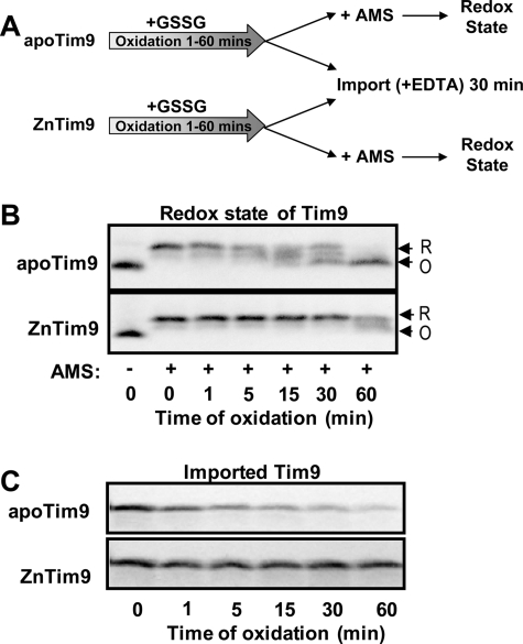 FIGURE 3.