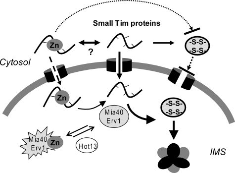 FIGURE 7.