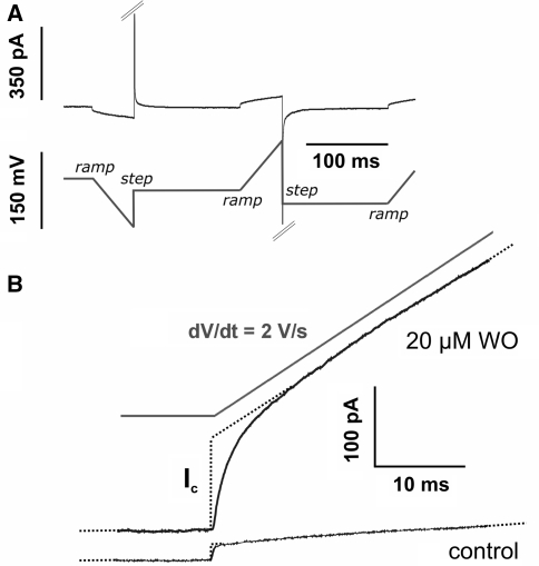 Fig. 2