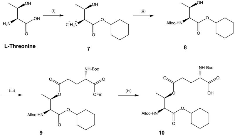 Scheme 2