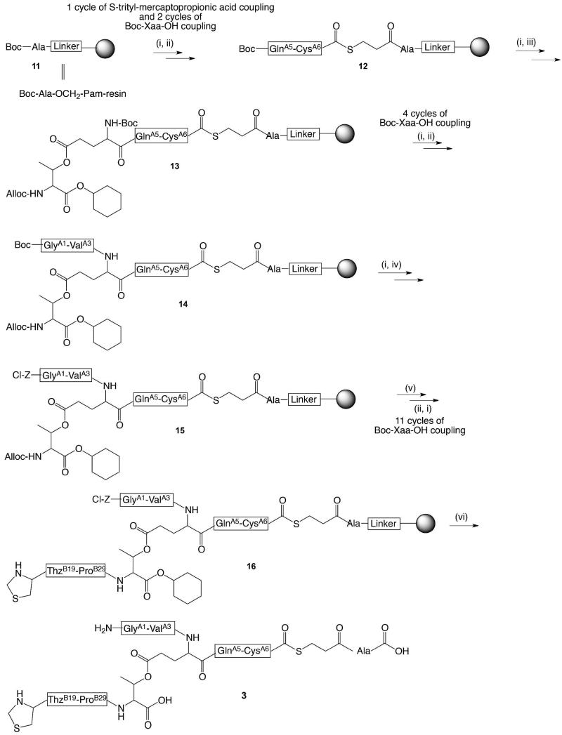 Scheme 3