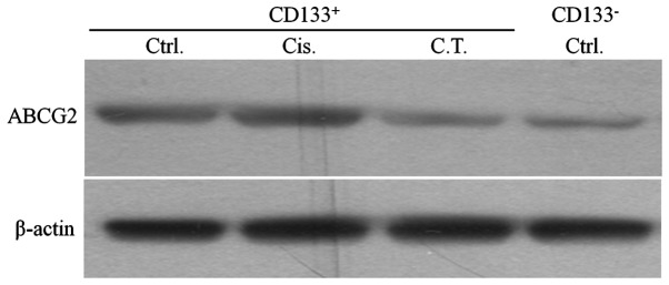 Figure 5.