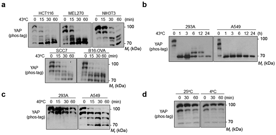 Extended Data Fig. 1