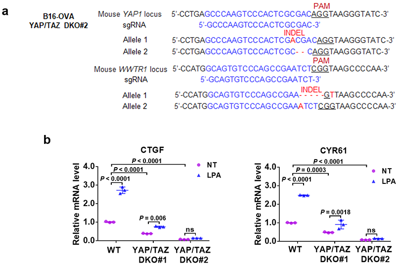 Extended Data Fig. 4