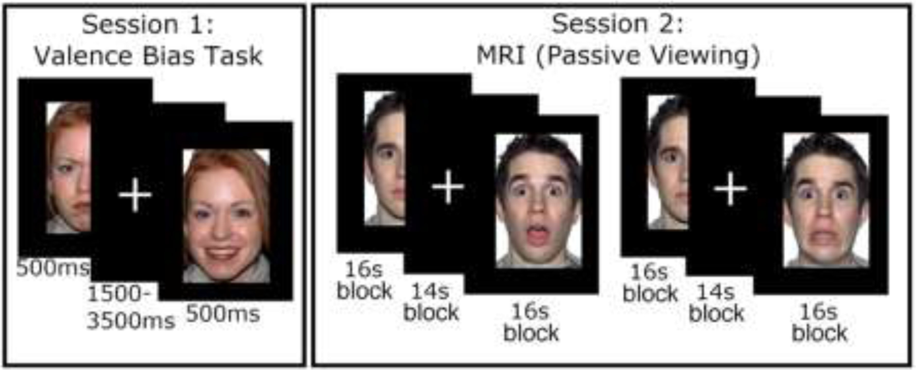 Figure 1: