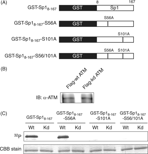 FIG. 8.