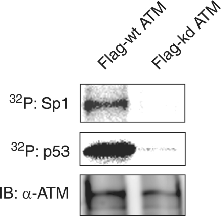 FIG. 7.