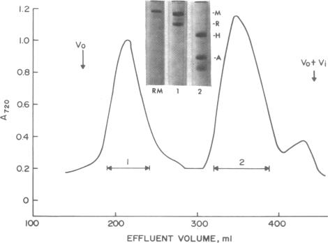 graphic file with name pnas00086-0087-a.jpg