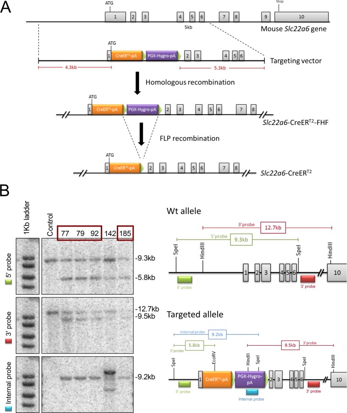 Fig 3