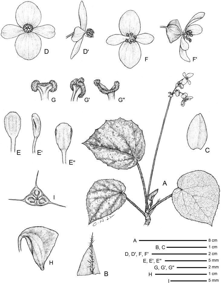 Fig 11