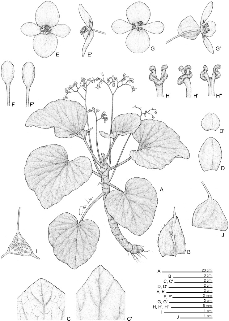 Fig 4