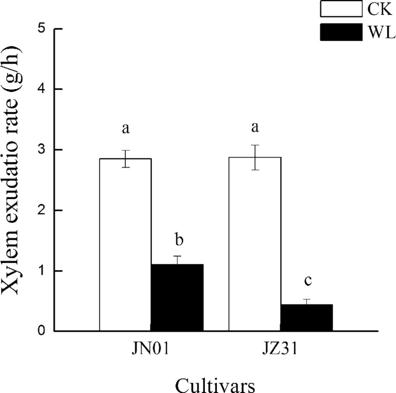 Fig 4