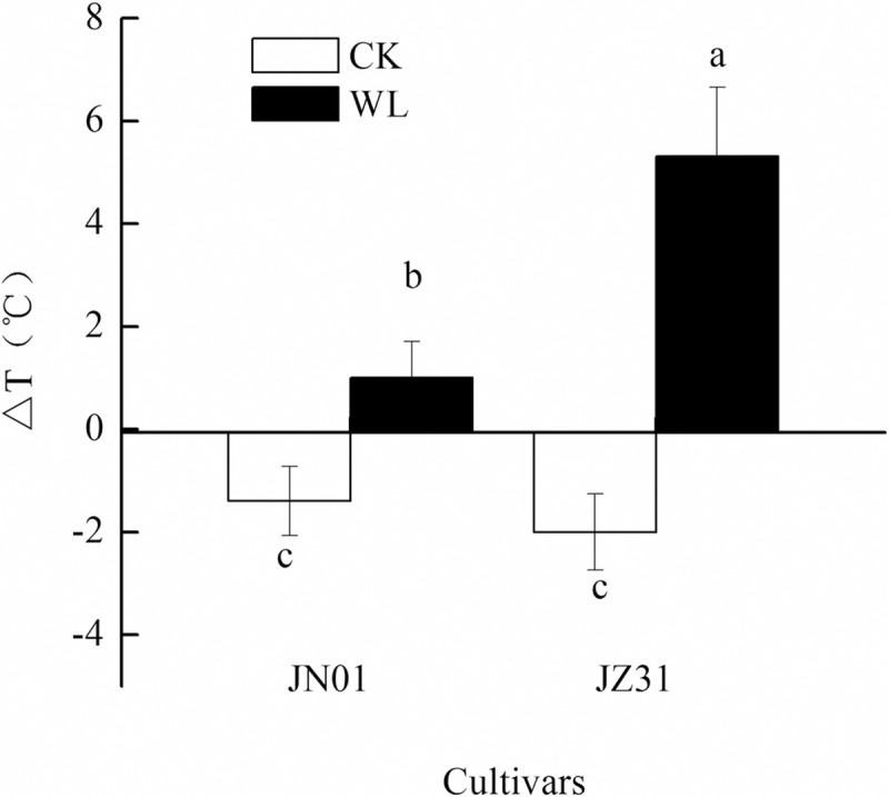 Fig 5