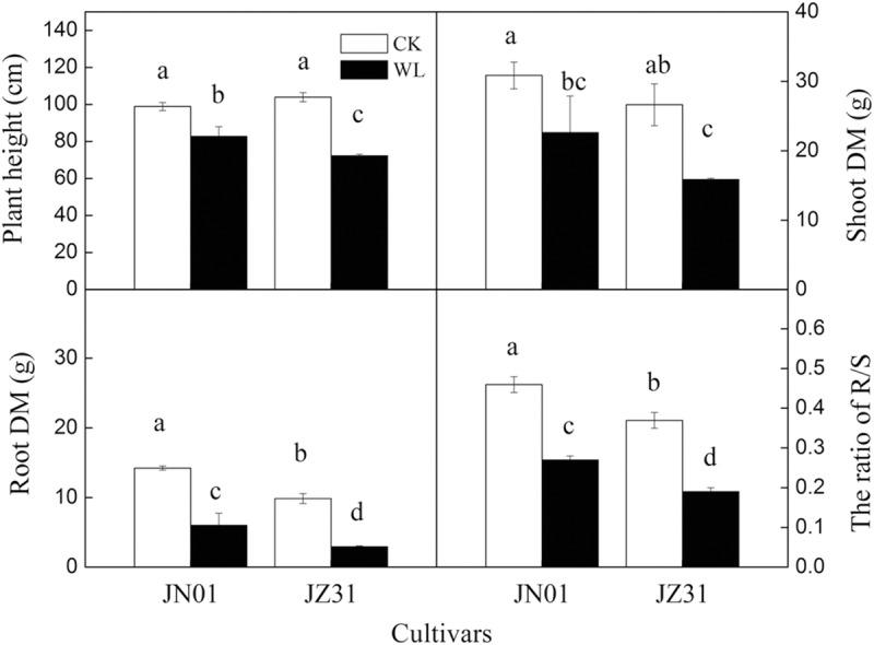 Fig 1