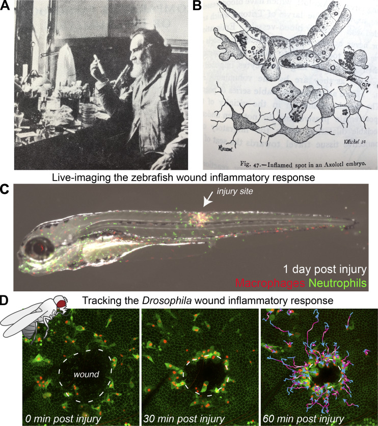 Figure 2.