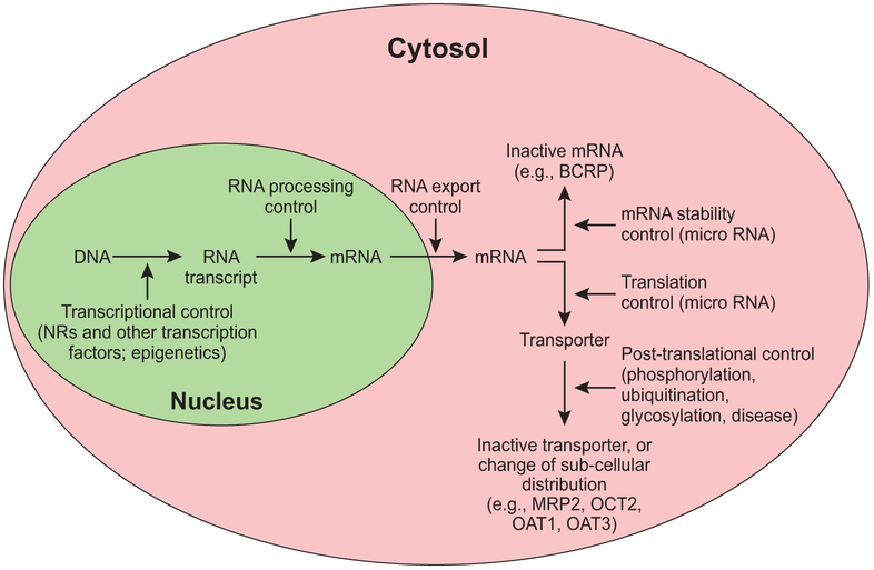 Figure 2: