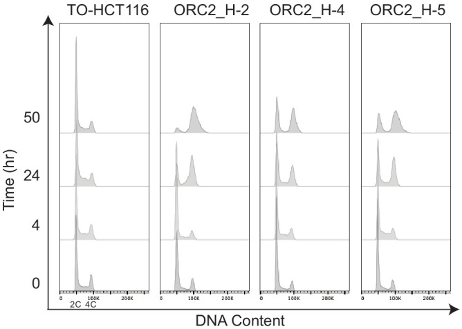 Figure 3—figure supplement 2.