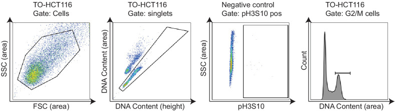 Figure 7—figure supplement 1.