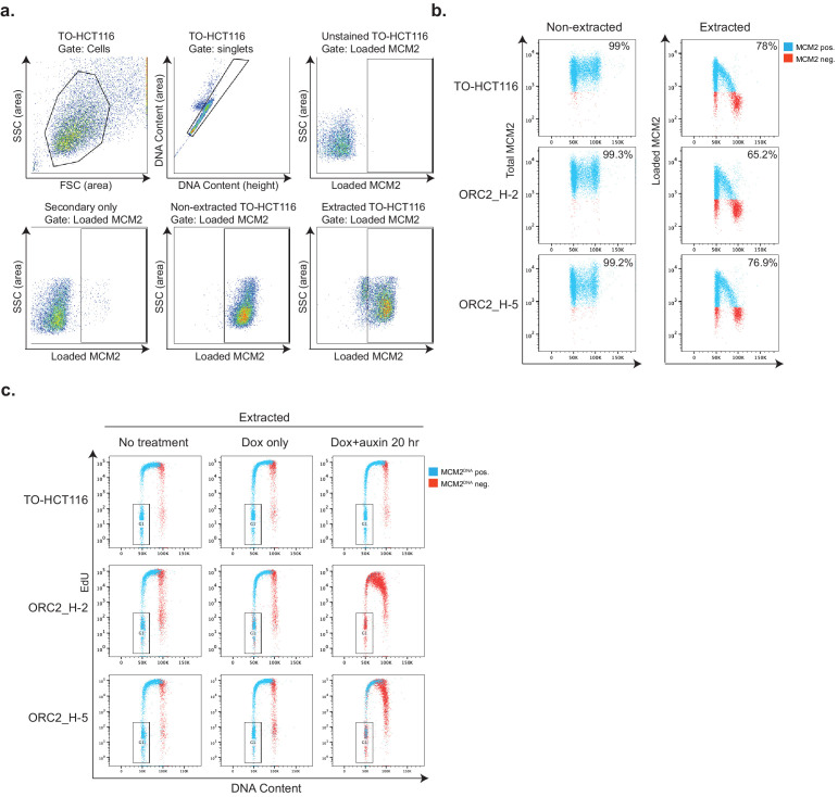 Figure 6—figure supplement 1.