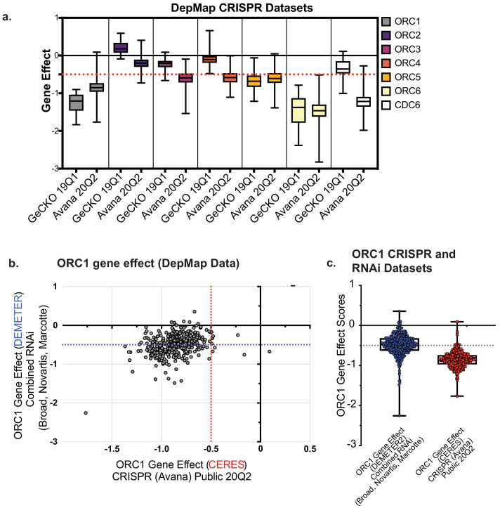 Figure 1—figure supplement 2.