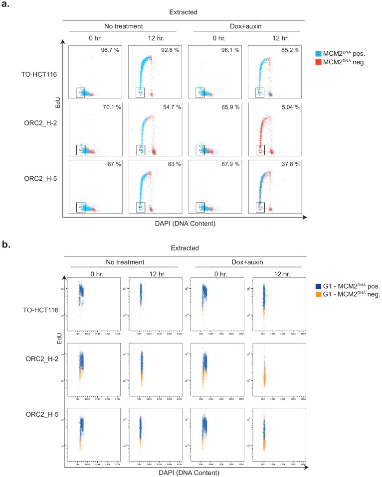 Figure 6—figure supplement 2.