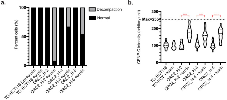 Figure 4—figure supplement 1.