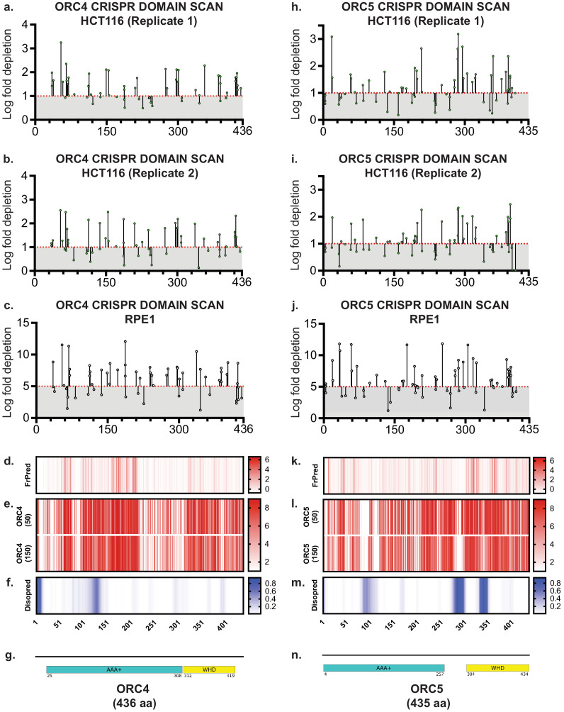 Figure 2—figure supplement 4.