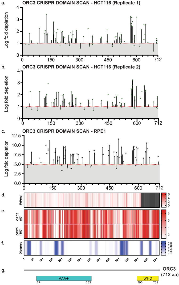 Figure 2—figure supplement 3.