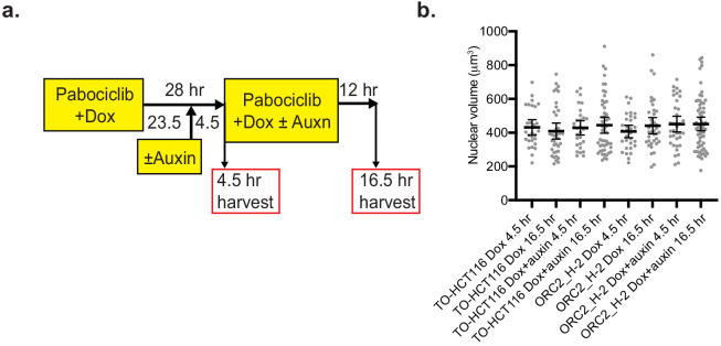 Figure 4—figure supplement 3.