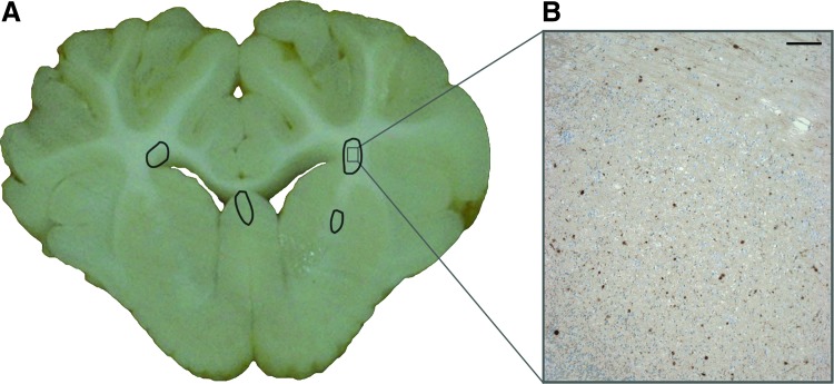 FIG. 5.