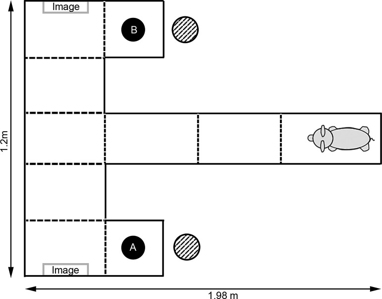 FIG. 1.