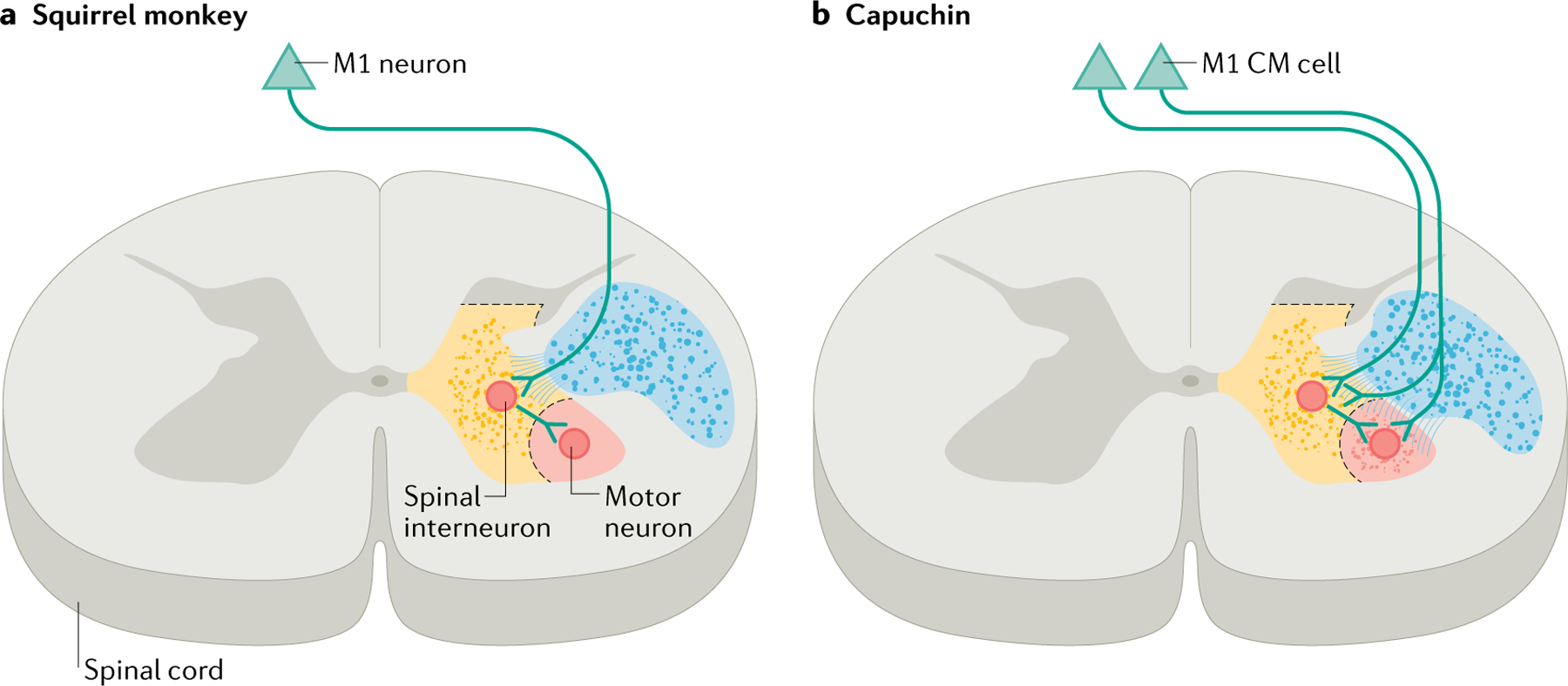 Fig. 2 |