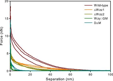 FIG. 2.