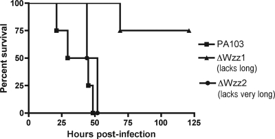 FIG. 8.