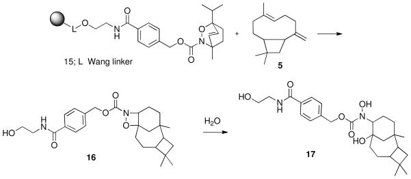 Scheme 5