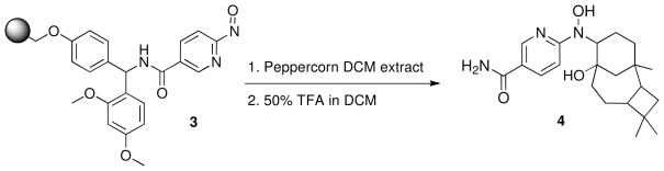 Scheme 1