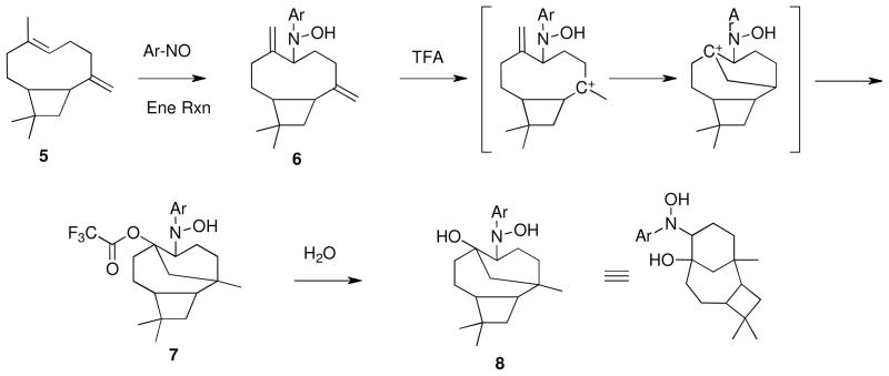 Scheme 2