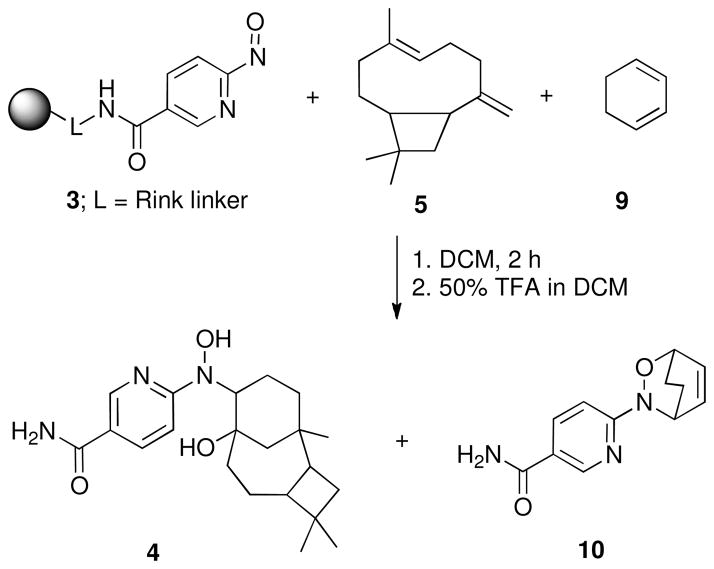 Scheme 3