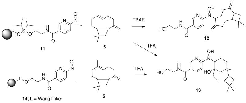 Scheme 4