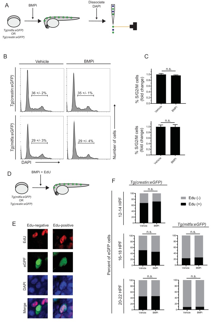 Figure 2—figure supplement 1.