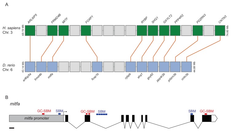 Figure 7—figure supplement 1.