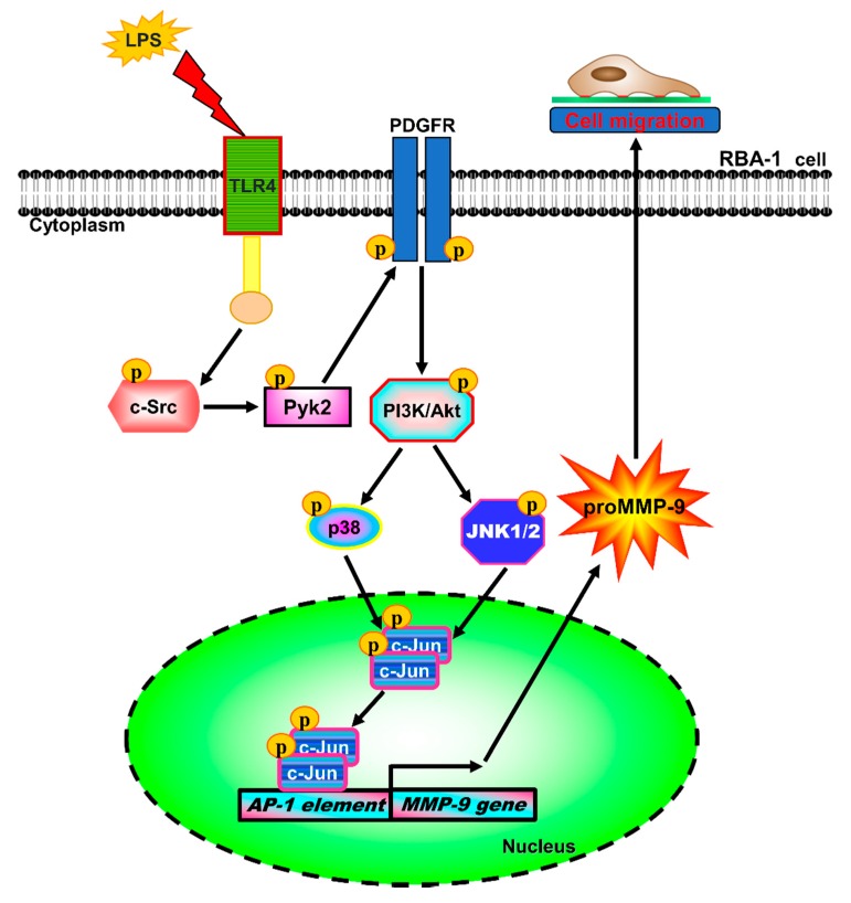 Figure 10