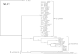 FIG 3