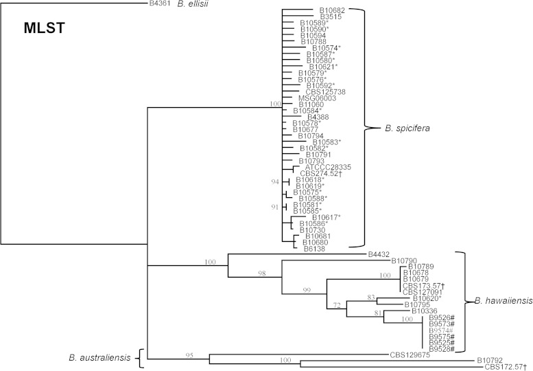 FIG 3