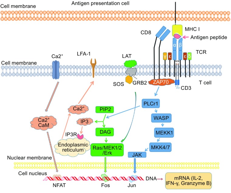 Figure 2