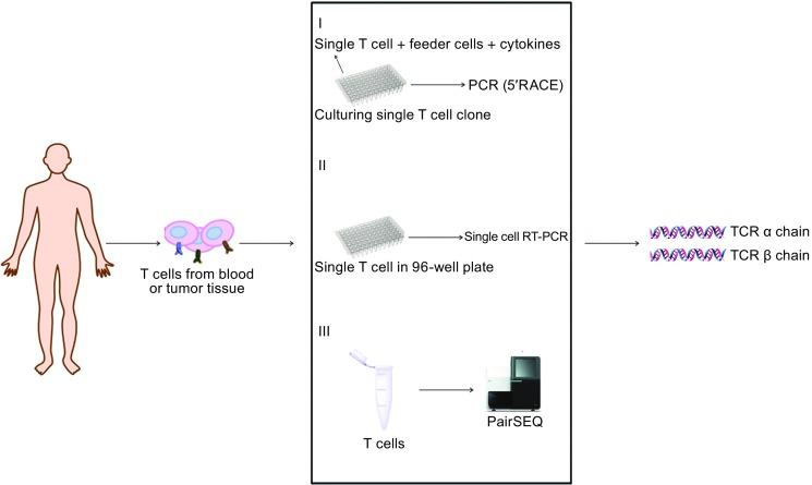 Figure 3