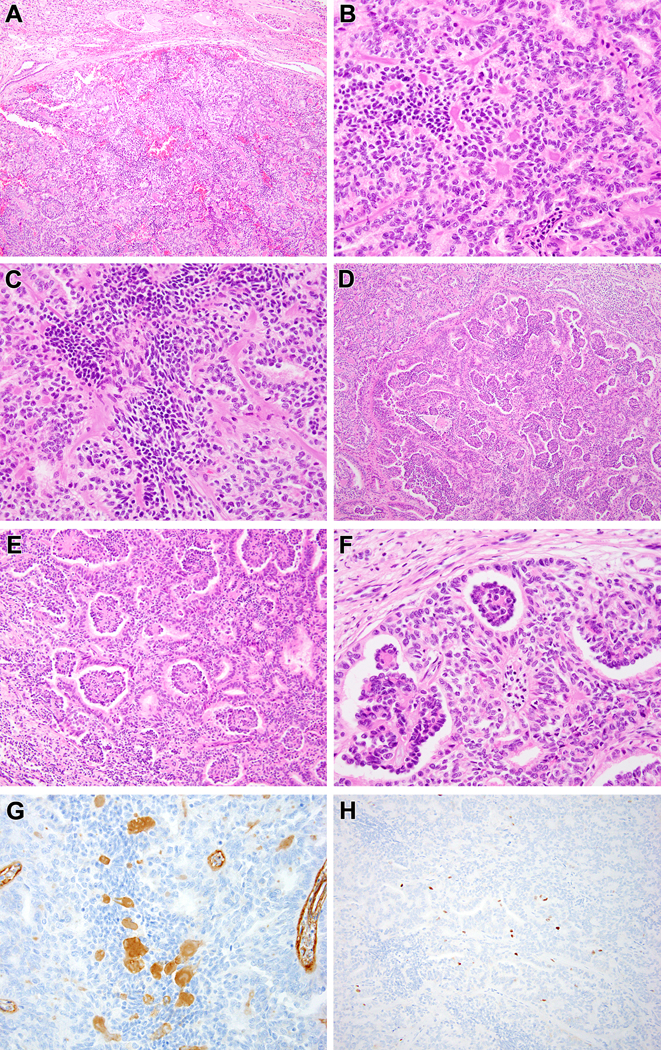 Figure 2: