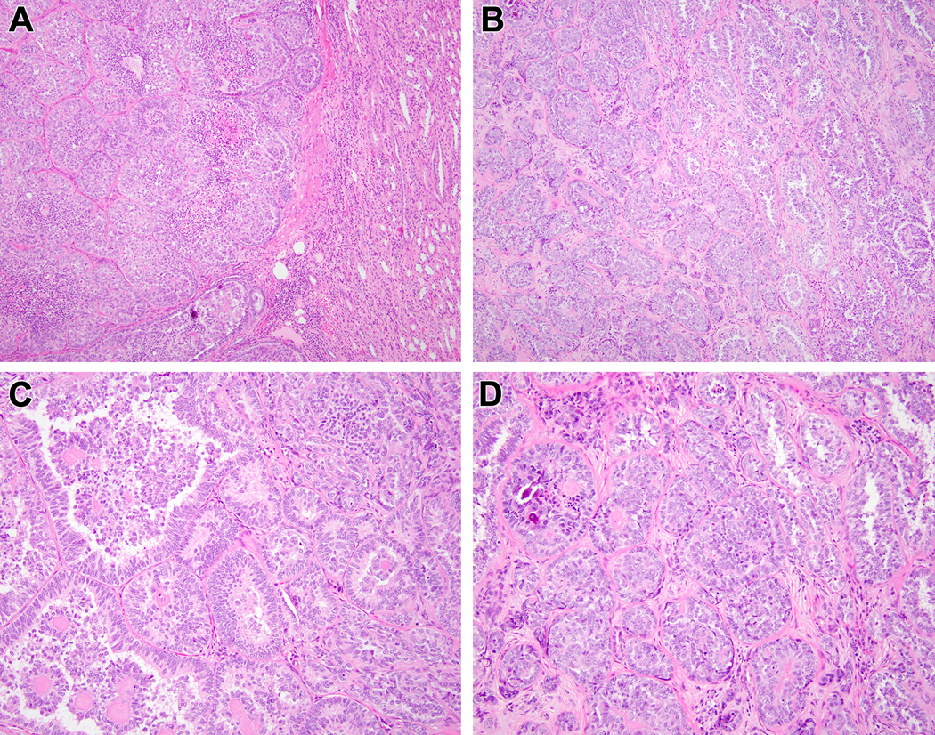 Figure 5: